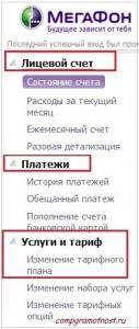 Счет Платежи Услуги в Мегафон Сервис гид